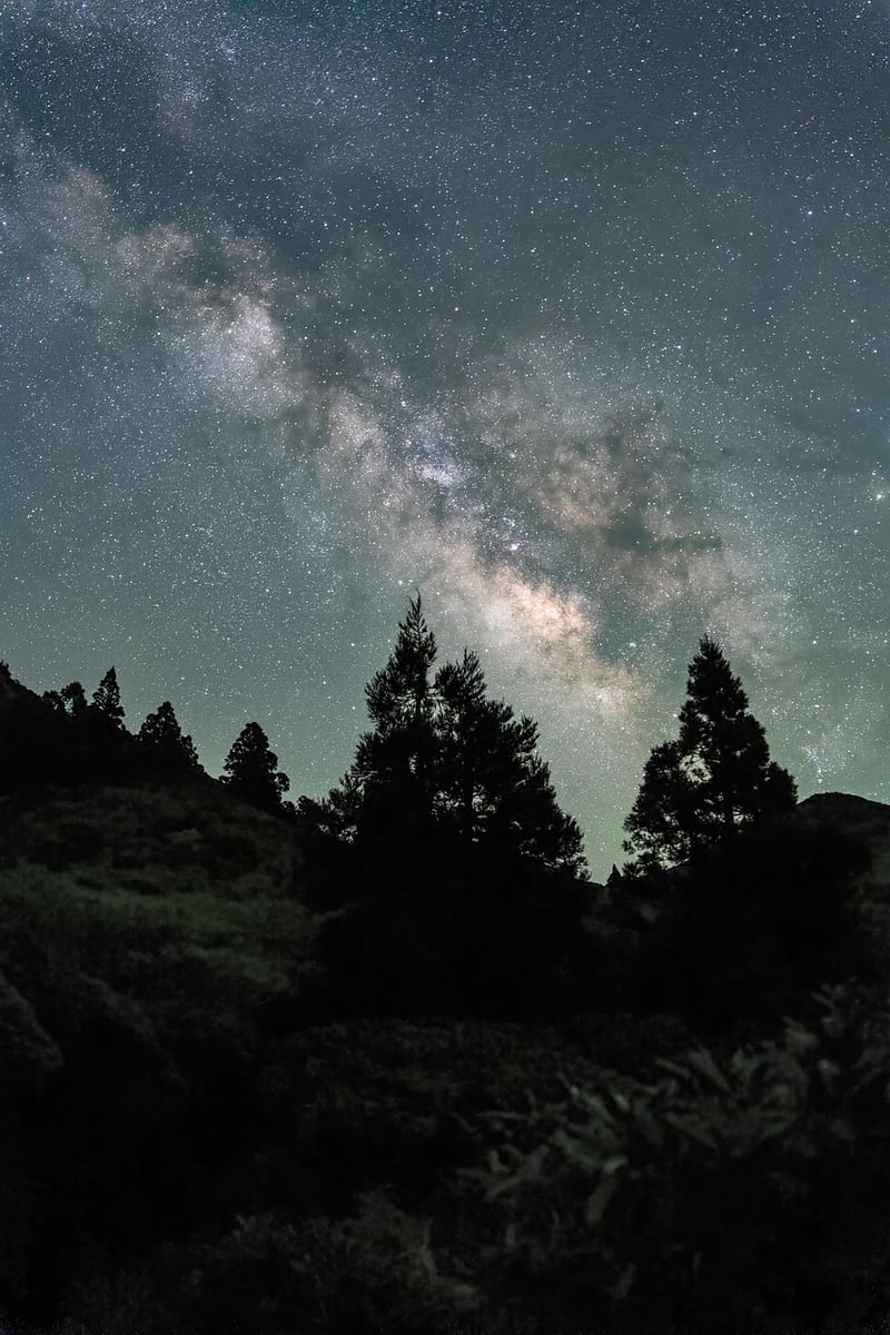 Milky Way Cocktail